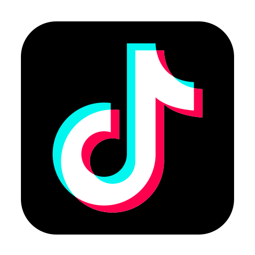 tiktok hizmetleri